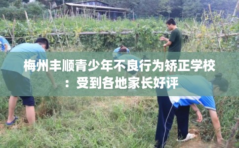 梅州丰顺青少年不良行为矫正学校：受到各地家长好评