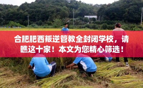 合肥肥西叛逆管教全封闭学校，请瞧这十家！本文为您精心筛选！