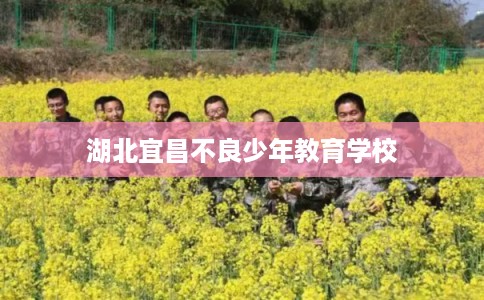 湖北宜昌不良少年教育学校