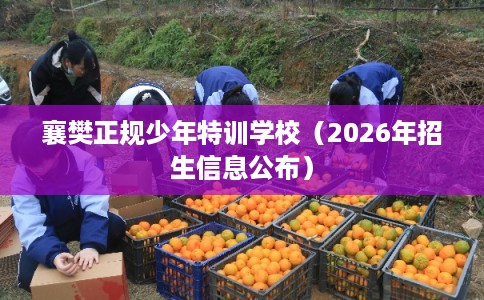 襄樊正规少年特训学校（2026年招生信息公布）