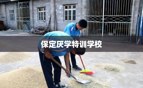 保定厌学特训学校