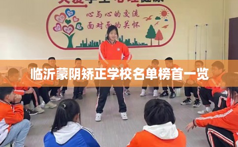 临沂蒙阴矫正学校名单榜首一览