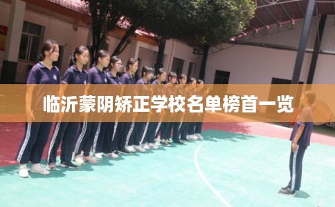 临沂蒙阴矫正学校名单榜首一览