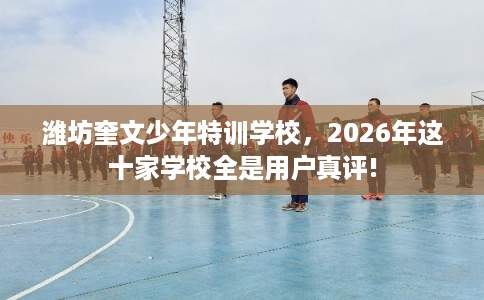 潍坊奎文少年特训学校，2026年这十家学校全是用户真评!