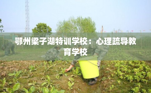鄂州梁子湖特训学校:心理疏导教育学校 鄂州梁子湖特训学校:心理疏导教育学校