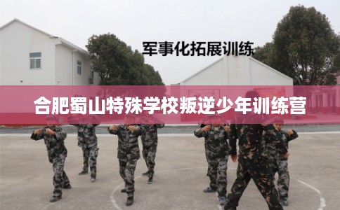 合肥蜀山特殊学校叛逆少年训练营 合肥蜀山特殊学校叛逆少年训练营