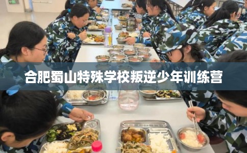 合肥蜀山特殊学校叛逆少年训练营 合肥蜀山特殊学校叛逆少年训练营