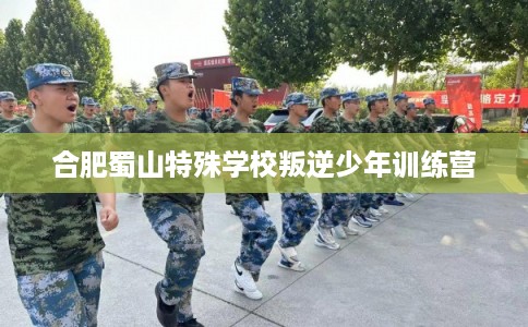 合肥蜀山特殊学校叛逆少年训练营 合肥蜀山特殊学校叛逆少年训练营