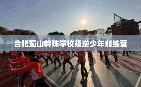 合肥蜀山特殊学校叛逆少年训练营
