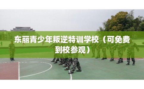 东丽青少年叛逆特训学校（可免费到校参观）
