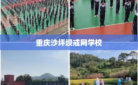 重庆沙坪坝戒网学校