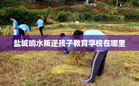 盐城响水叛逆孩子教育学校在哪里