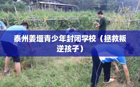 泰州姜堰青少年封闭学校（拯救叛逆孩子）