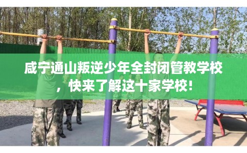 咸宁通山叛逆少年全封闭管教学校,快来了解这十家学校! 咸宁通山叛逆少年全封闭管教学校,快来了解这十家学校!