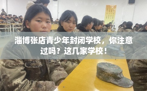淄博张店青少年封闭学校,你注意过吗?这几家学校! 淄博张店青少年封闭学校,你注意过吗?这几家学校!