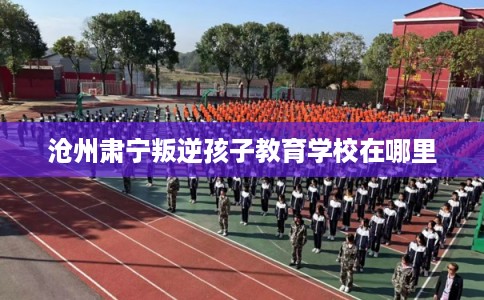 沧州肃宁叛逆孩子教育学校在哪里