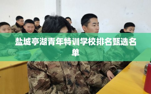盐城亭湖青年特训学校排名甄选名单