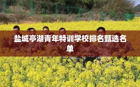 盐城亭湖青年特训学校排名甄选名单