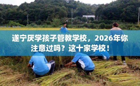 遂宁厌学孩子管教学校，2026年你注意过吗？这十家学校！
