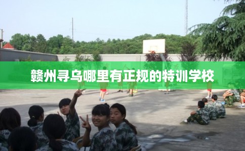赣州寻乌哪里有正规的特训学校