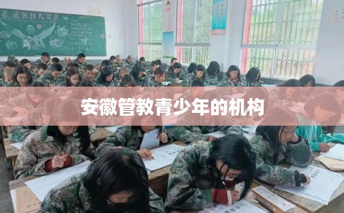 安徽管教青少年的机构
