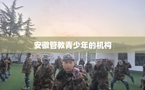 安徽管教青少年的机构