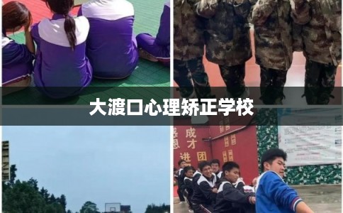 大渡口心理矫正学校
