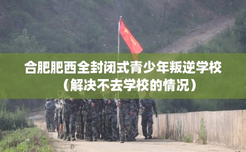 合肥肥西全封闭式青少年叛逆学校（解决不去学校的情况）