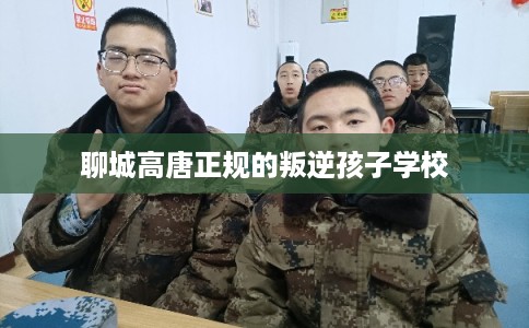 聊城高唐正规的叛逆孩子学校