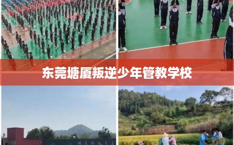 东莞塘厦叛逆少年管教学校 东莞塘厦叛逆少年管教学校