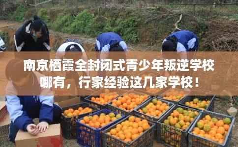 南京栖霞全封闭式青少年叛逆学校哪有,行家经验这几家学校! 南京栖霞全封闭式青少年叛逆学校哪有,行家经验这几家学校!