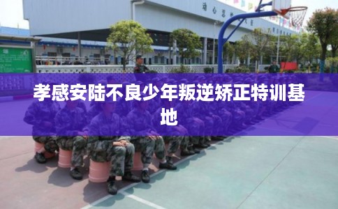 孝感安陆不良少年叛逆矫正特训基地 孝感安陆不良少年叛逆矫正特训基地