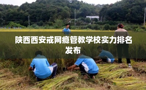 陕西西安戒网瘾管教学校实力排名发布