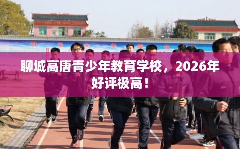 聊城高唐青少年教育学校，2026年好评极高！