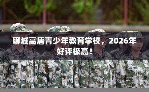 聊城高唐青少年教育学校，2026年好评极高！