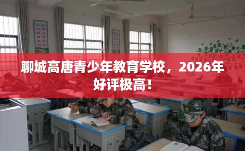 聊城高唐青少年教育学校，2026年好评极高！