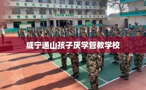 咸宁通山孩子厌学管教学校