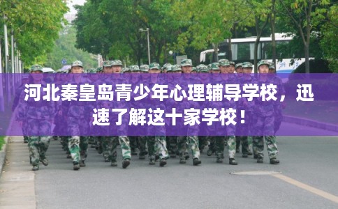 河北秦皇岛青少年心理辅导学校，迅速了解这十家学校！