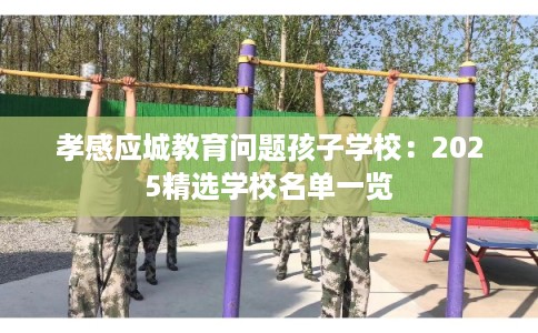 孝感应城教育问题孩子学校：2025精选学校名单一览
