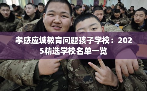 孝感应城教育问题孩子学校：2025精选学校名单一览