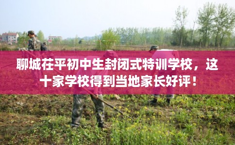 聊城茌平初中生封闭式特训学校，这十家学校得到当地家长好评！