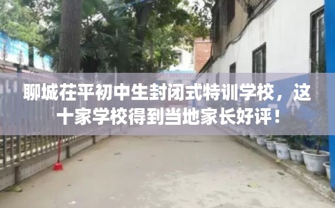 聊城茌平初中生封闭式特训学校，这十家学校得到当地家长好评！