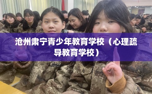 沧州肃宁青少年教育学校（心理疏导教育学校）
