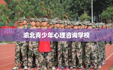渝北青少年心理咨询学校