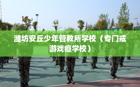 潍坊安丘少年管教所学校（专门戒游戏瘾学校）