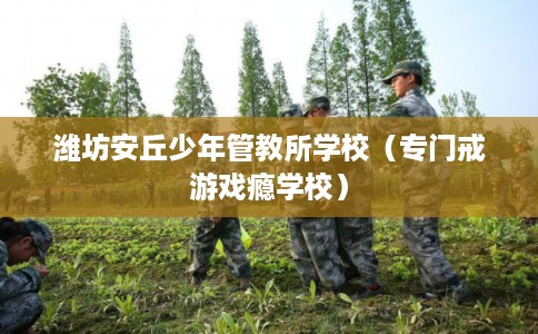 潍坊安丘少年管教所学校（专门戒游戏瘾学校）