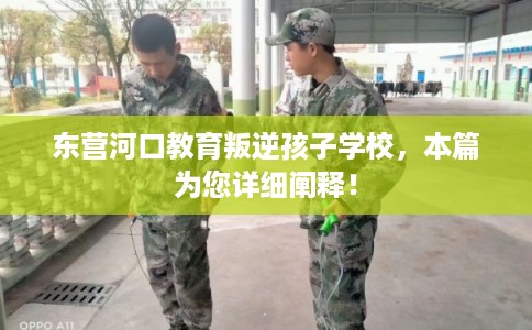 东营河口教育叛逆孩子学校，本篇为您详细阐释！