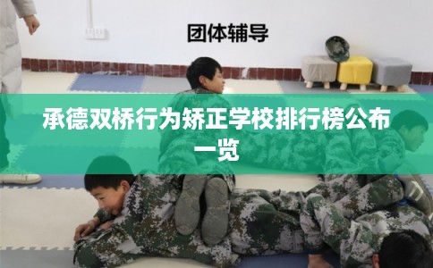 承德双桥行为矫正学校排行榜公布一览