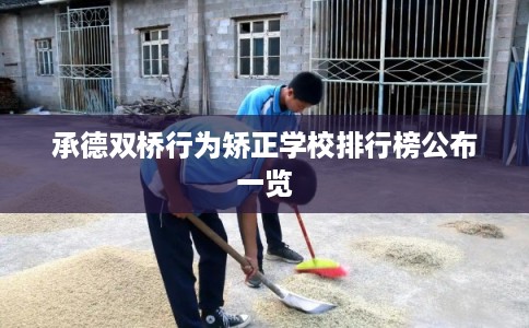承德双桥行为矫正学校排行榜公布一览