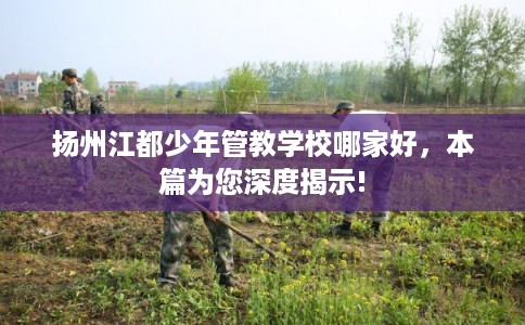 扬州江都少年管教学校哪家好，本篇为您深度揭示!